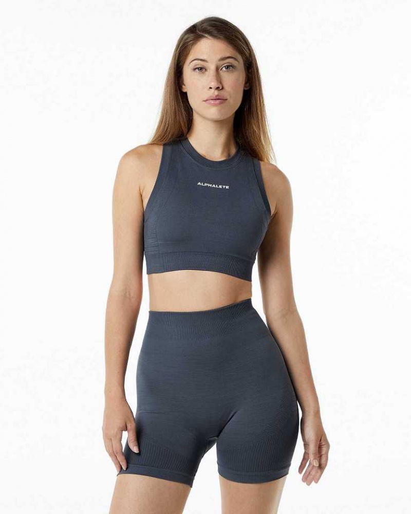 Dámské Sportovní Podprsenka Alphalete Ozone Crop Šedé | CZ-125497