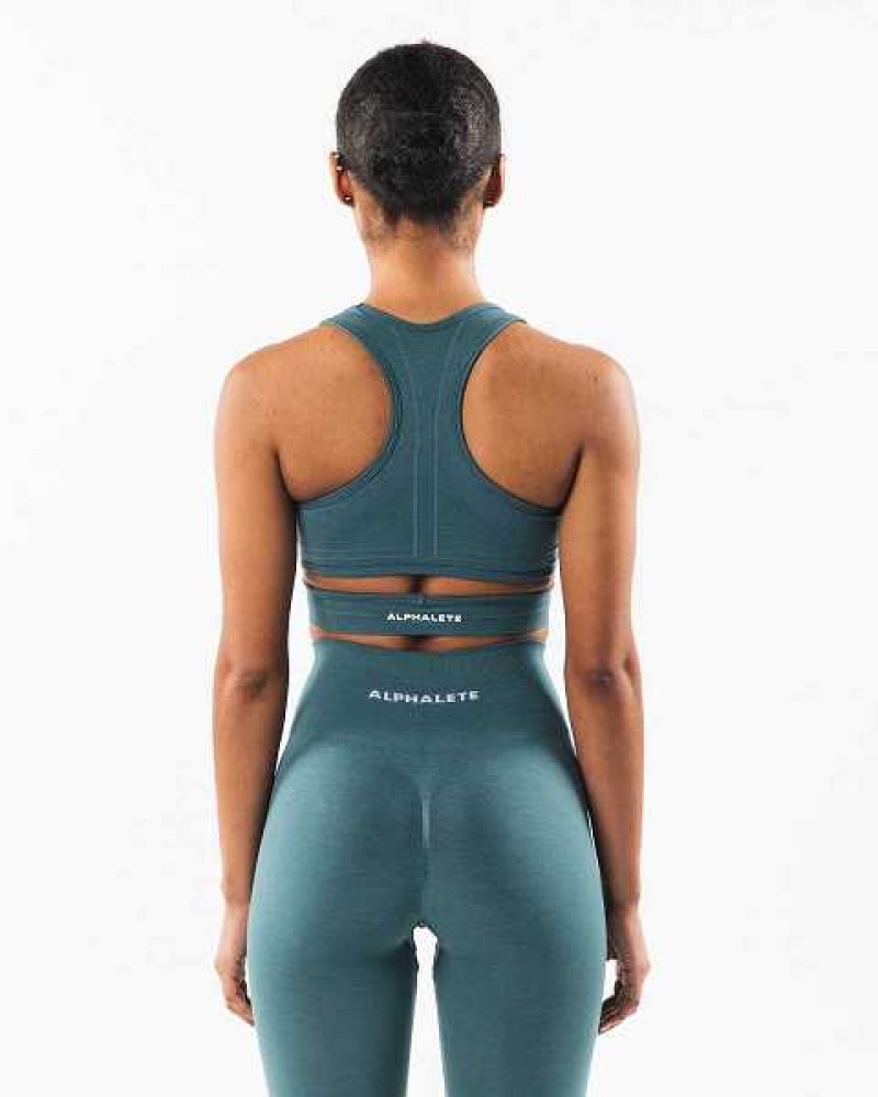 Dámské Sportovní Podprsenka Alphalete Stratus Blankyt | CZ-603125