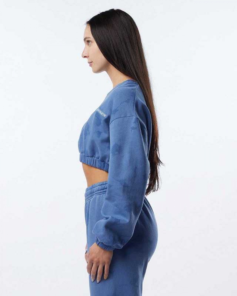 Dámské Svetr Alphalete HCTS Blankyt | CZ-640831