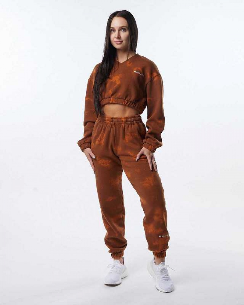 Dámské Svetr Alphalete HCTS Hnědé | CZ-752613