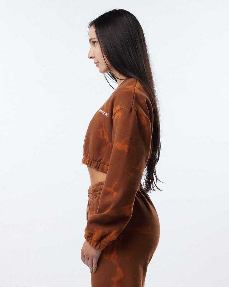 Dámské Svetr Alphalete HCTS Hnědé | CZ-752613