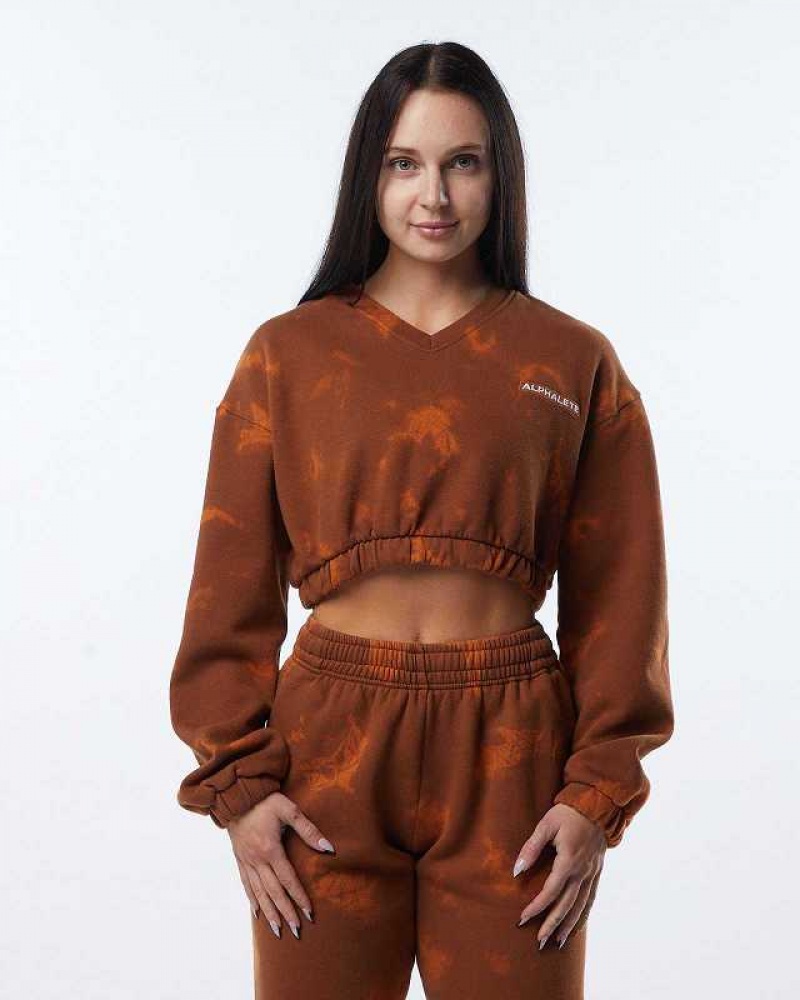 Dámské Svetr Alphalete HCTS Hnědé | CZ-752613