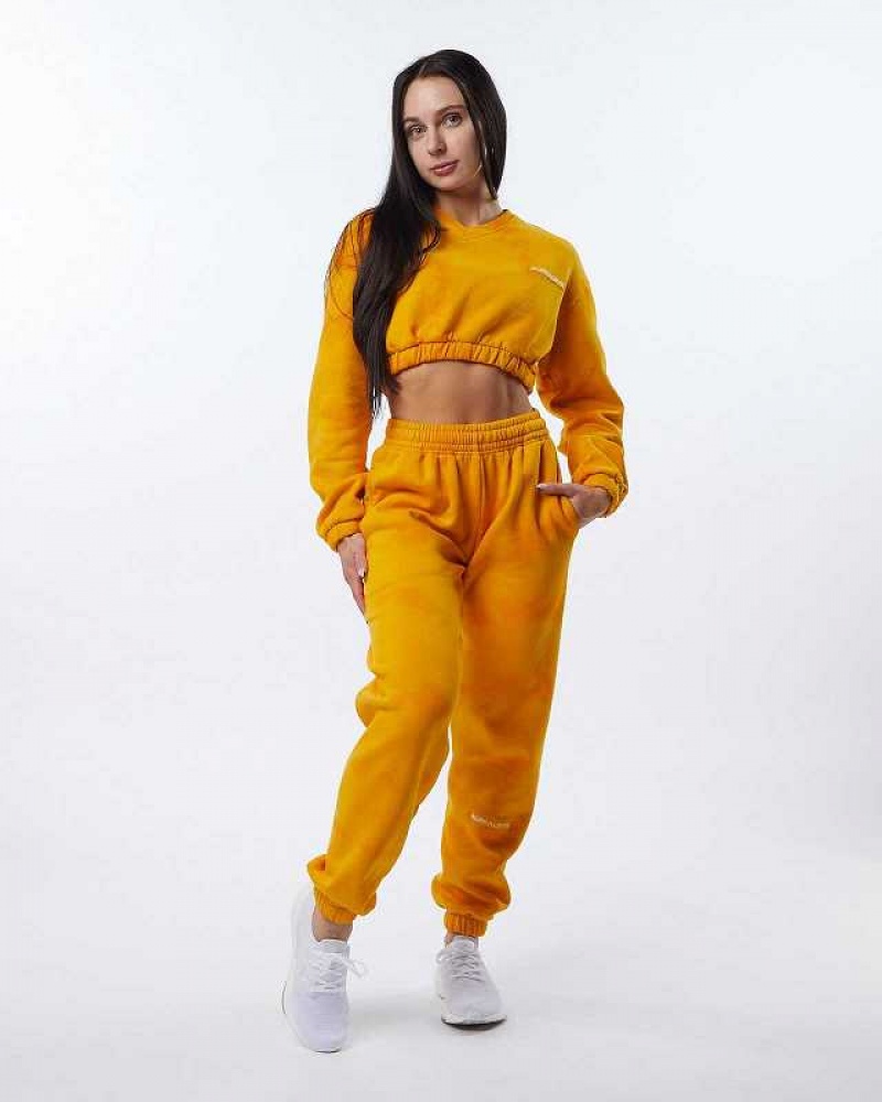 Dámské Svetr Alphalete HCTS Žluté | CZ-962537