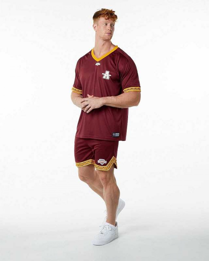 Pánské Dres Alphalete Varsity NFL Červené | CZ-351769