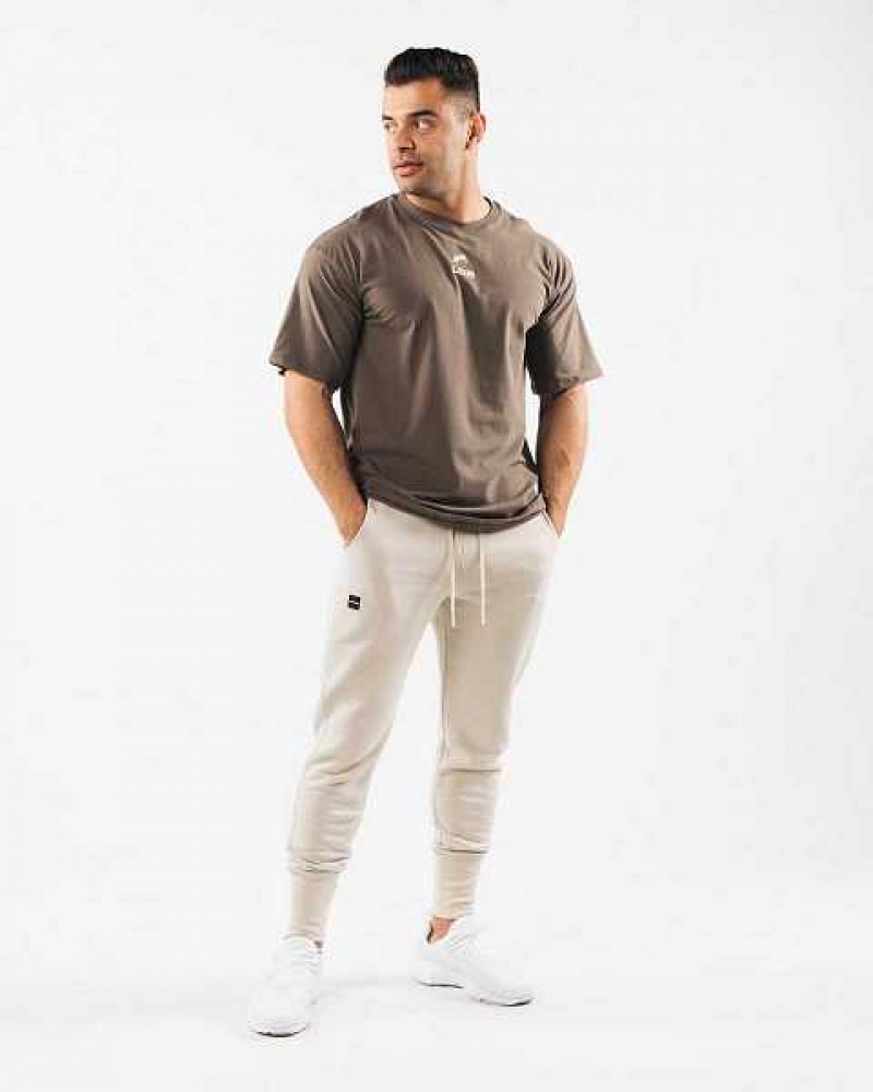 Pánské Kalhoty Jogger Alphalete Academy Club Hnědé | CZ-560179