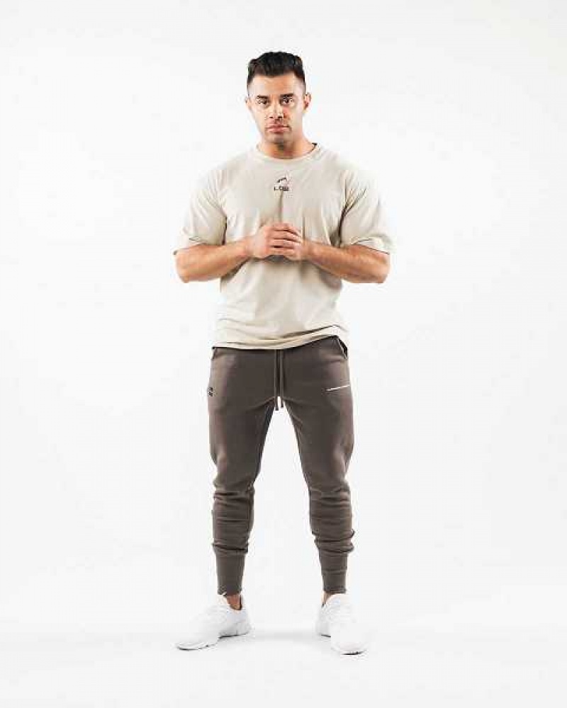 Pánské Kalhoty Jogger Alphalete Academy Club Hnědé | CZ-973658