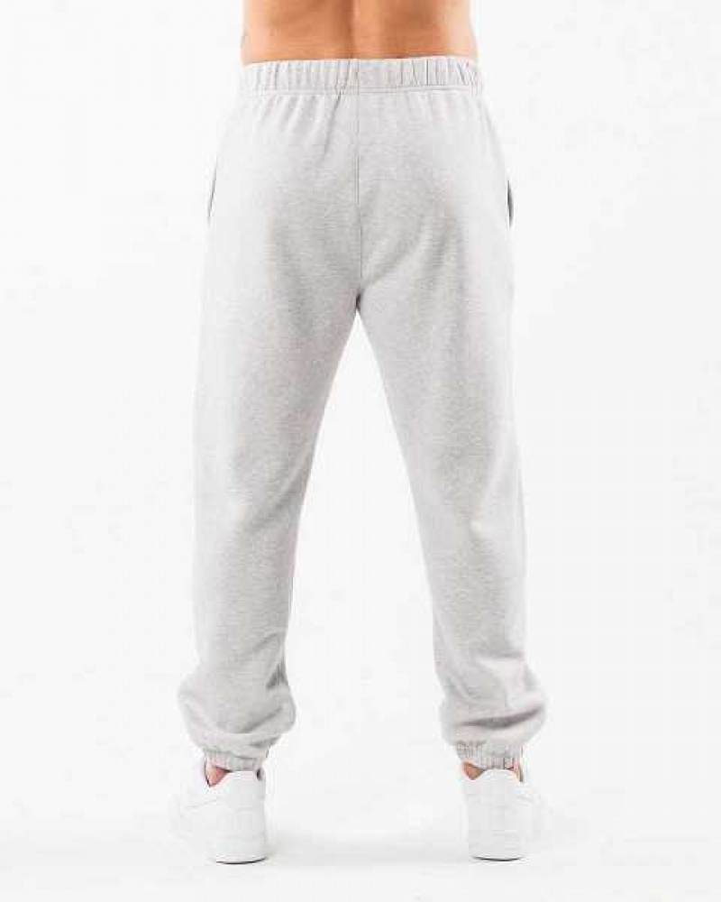 Pánské Kalhoty Jogger Alphalete Academy Relaxed Šedé | CZ-859632
