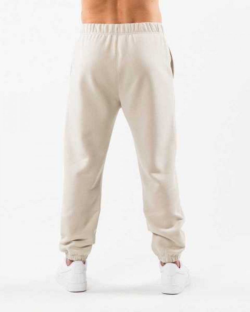 Pánské Kalhoty Jogger Alphalete Academy Relaxed Hnědé | CZ-312495