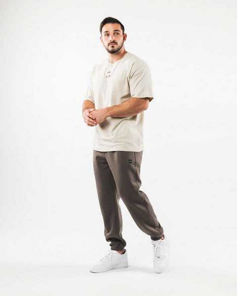 Pánské Kalhoty Jogger Alphalete Academy Relaxed Hnědé | CZ-741023