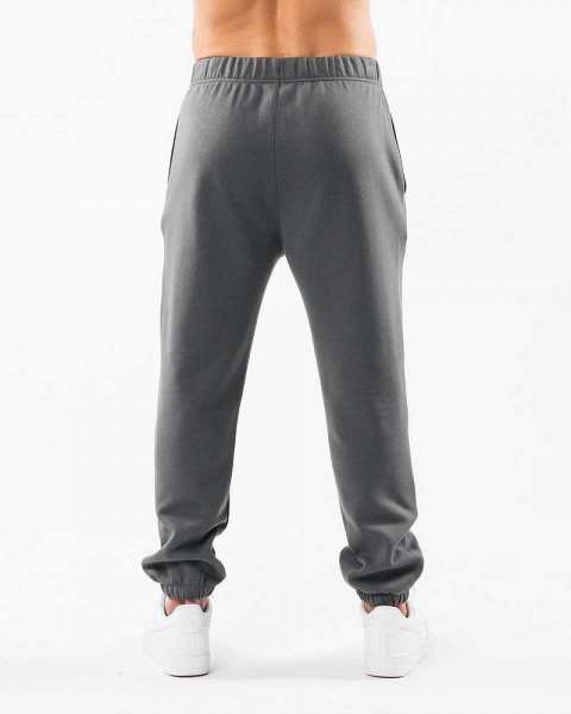 Pánské Kalhoty Jogger Alphalete Academy Relaxed Šedé | CZ-619587