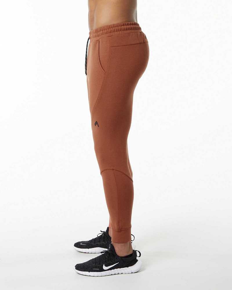 Pánské Kalhoty Jogger Alphalete ELMTS Cuffed Hnědé | CZ-582041
