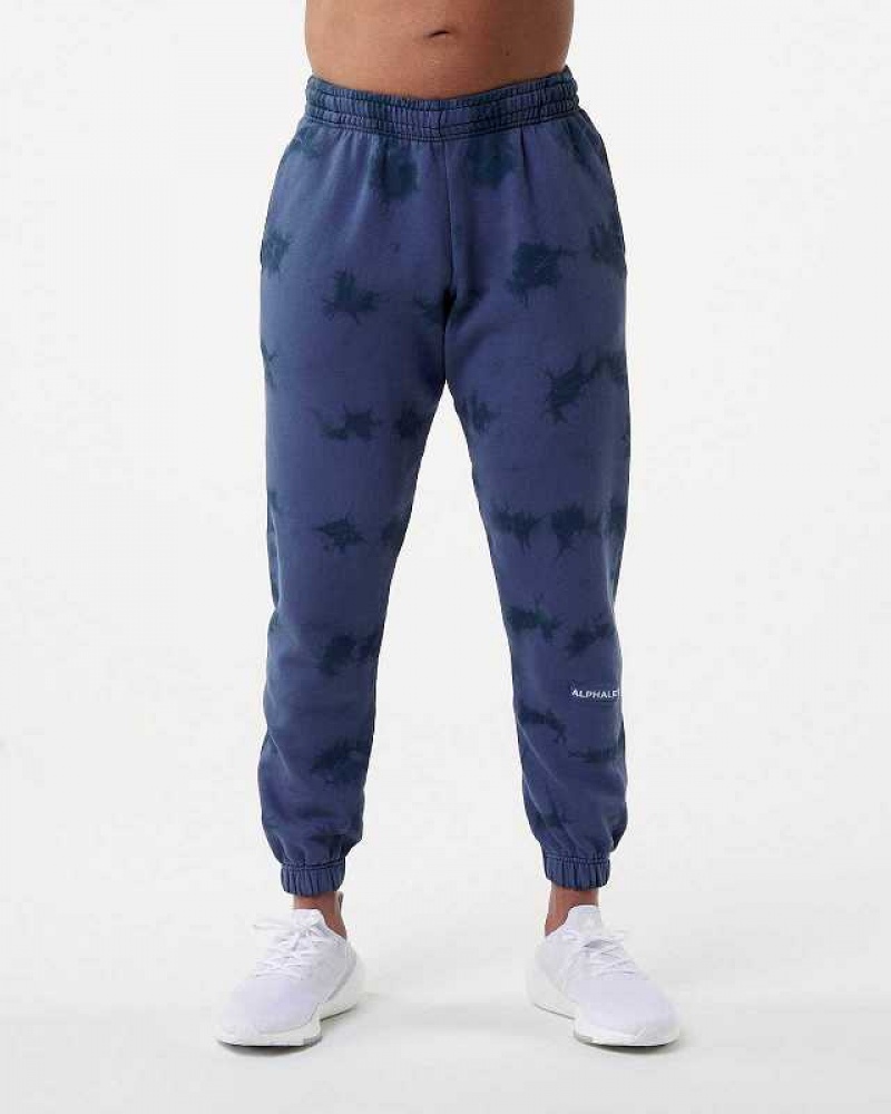 Pánské Kalhoty Jogger Alphalete HCTS Blankyt | CZ-578091