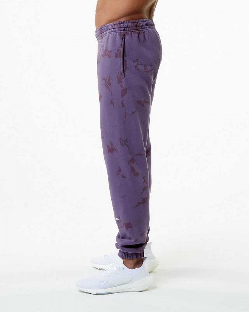 Pánské Kalhoty Jogger Alphalete HCTS Fialové | CZ-547026