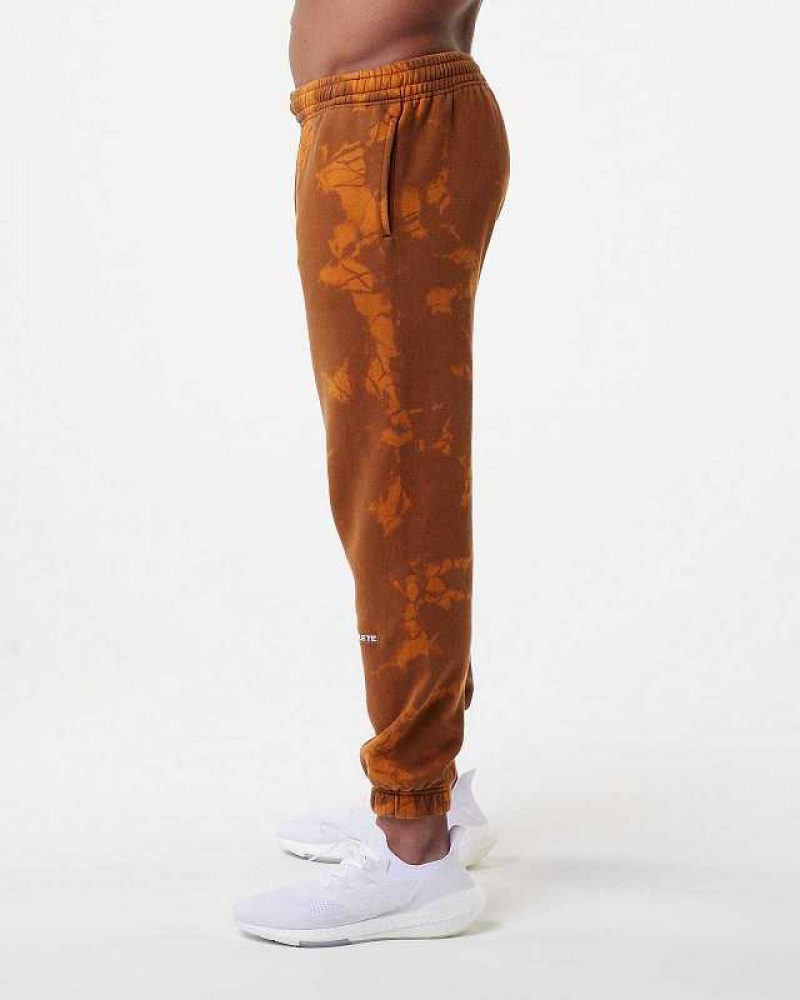 Pánské Kalhoty Jogger Alphalete HCTS Hnědé | CZ-348715