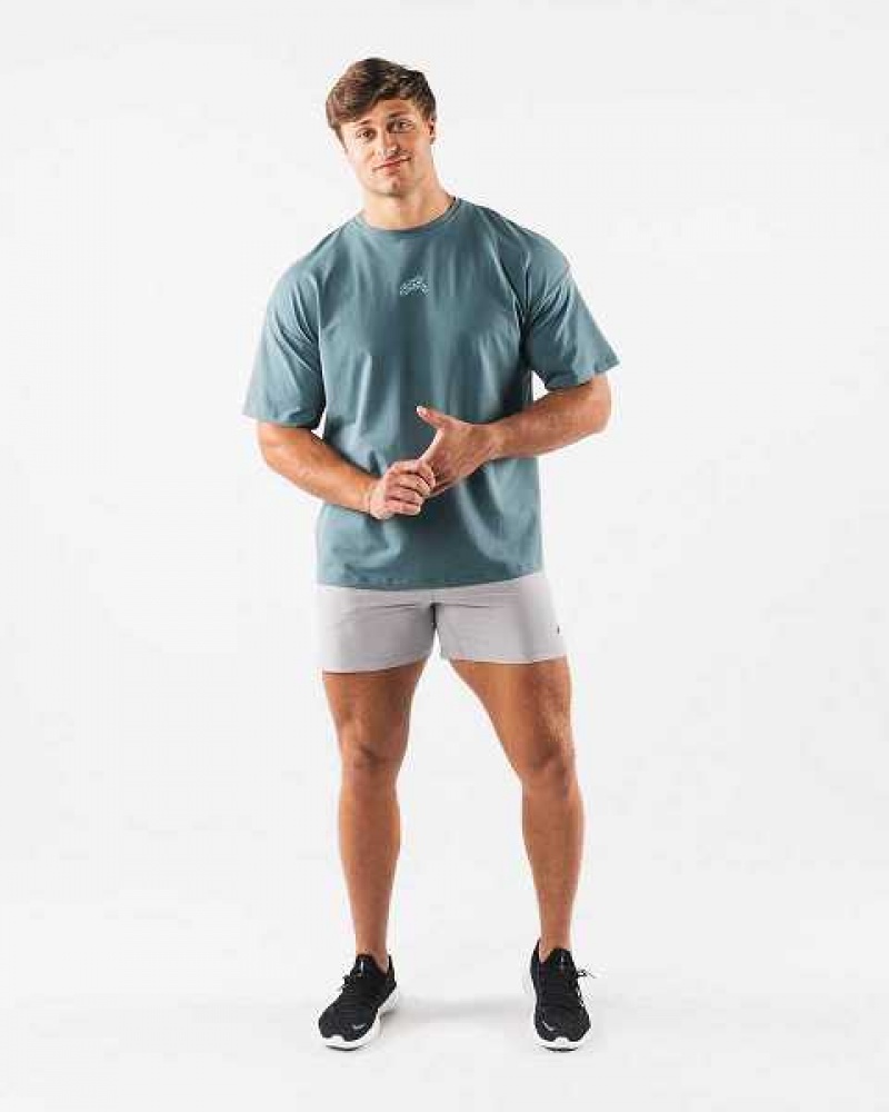 Pánské Košile S Krátkým Rukávem Alphalete Wolf Head Paisley Print Blankyt | CZ-648935