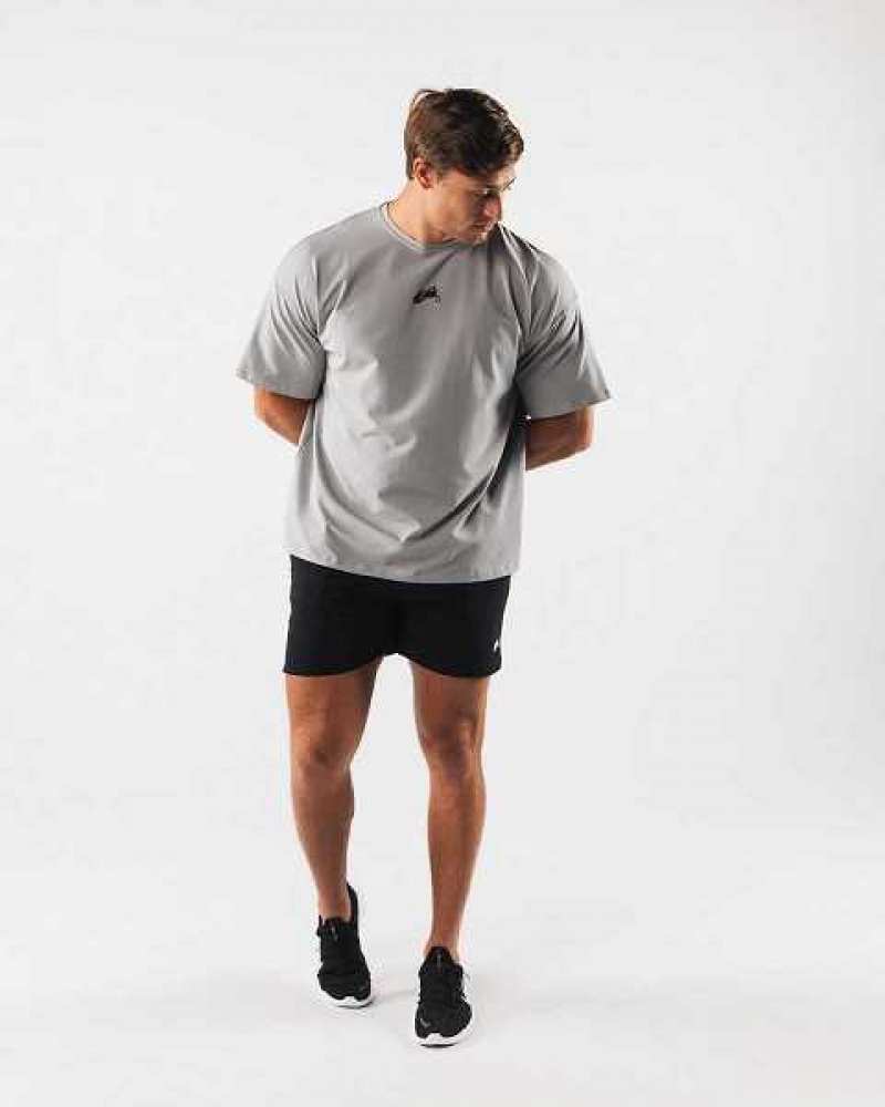 Pánské Košile S Krátkým Rukávem Alphalete Wolf Head Paisley Print Šedé | CZ-653849