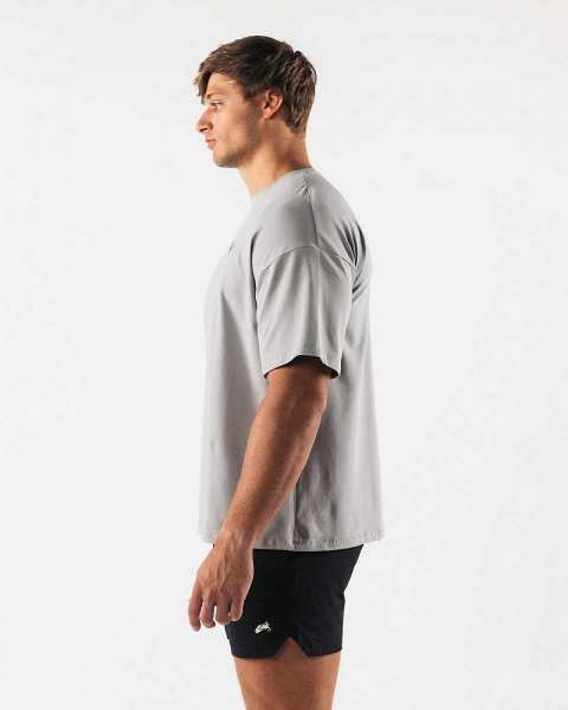 Pánské Košile S Krátkým Rukávem Alphalete Wolf Head Paisley Print Šedé | CZ-653849