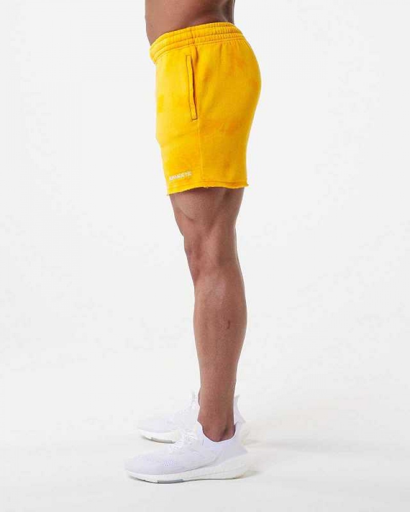 Pánské Kraťasy Alphalete HCTS 5