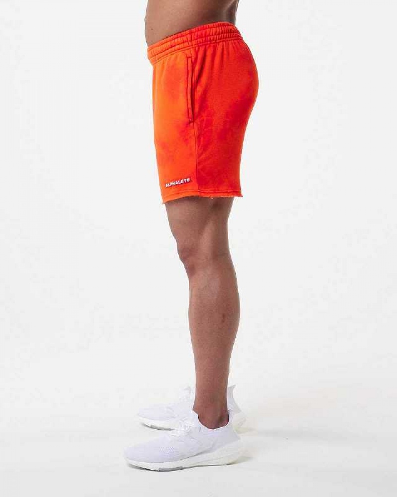 Pánské Kraťasy Alphalete HCTS 5