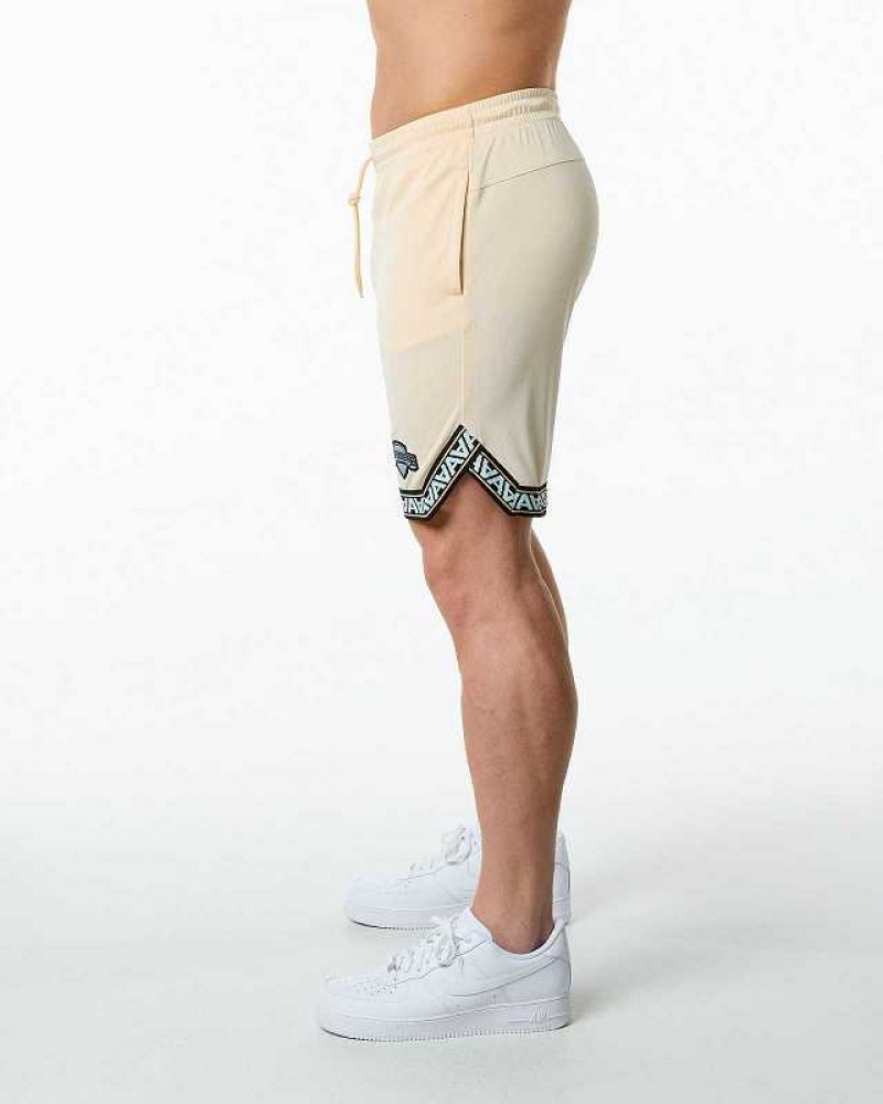 Pánské Kraťasy Alphalete Varsity Basketball 9