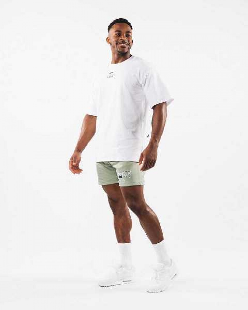 Pánské Kraťasy Alphalete Wolf Head Mesh 6