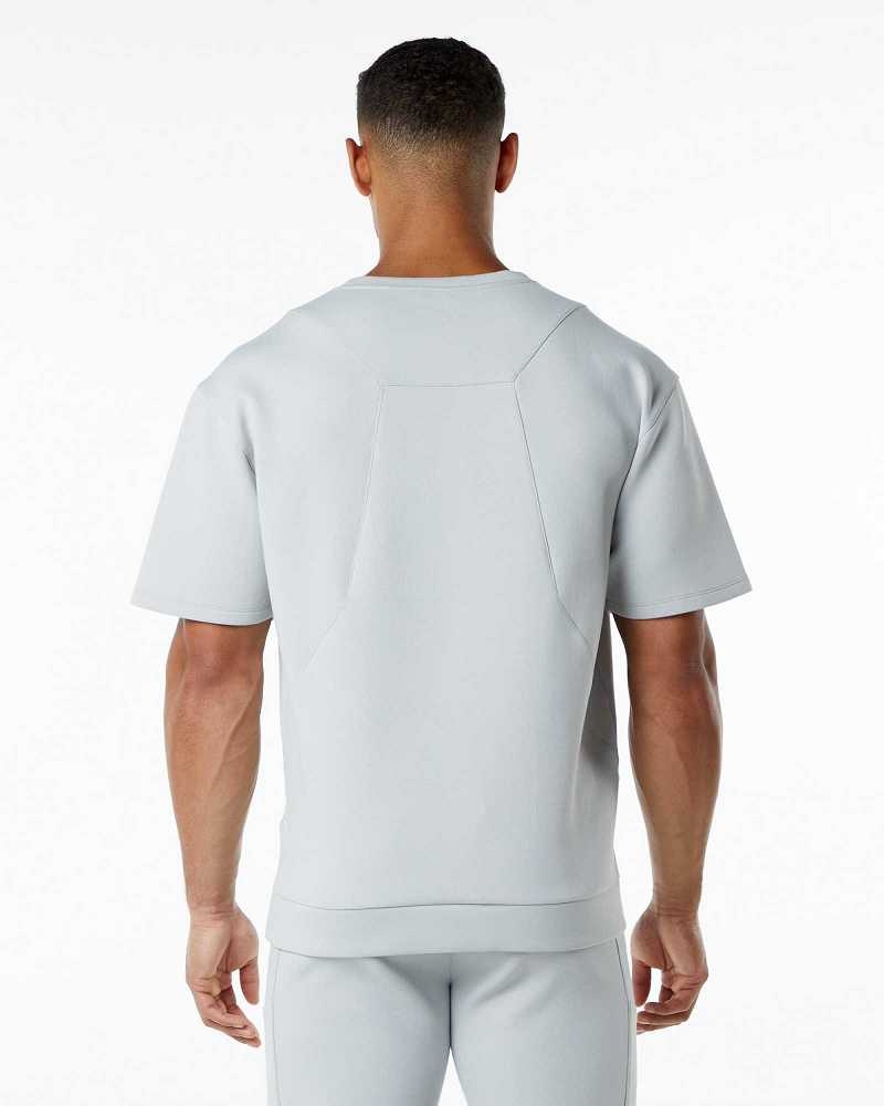 Pánské Pulovr Alphalete ELMTS Half Sleeve Šedé | CZ-129043