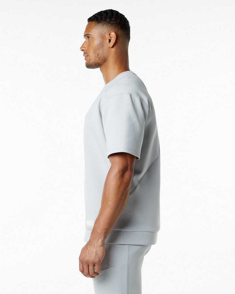 Pánské Pulovr Alphalete ELMTS Half Sleeve Šedé | CZ-129043