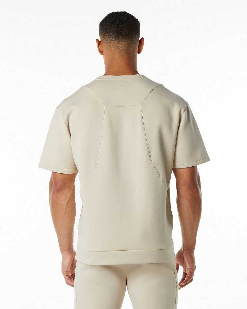 Pánské Pulovr Alphalete ELMTS Half Sleeve Hnědé | CZ-578931