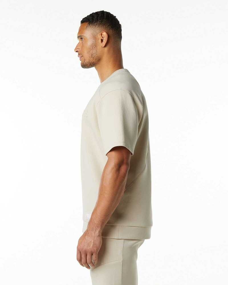 Pánské Pulovr Alphalete ELMTS Half Sleeve Hnědé | CZ-578931