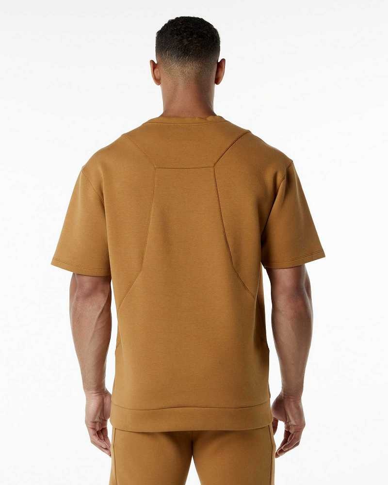 Pánské Pulovr Alphalete ELMTS Half Sleeve Hnědé | CZ-513478