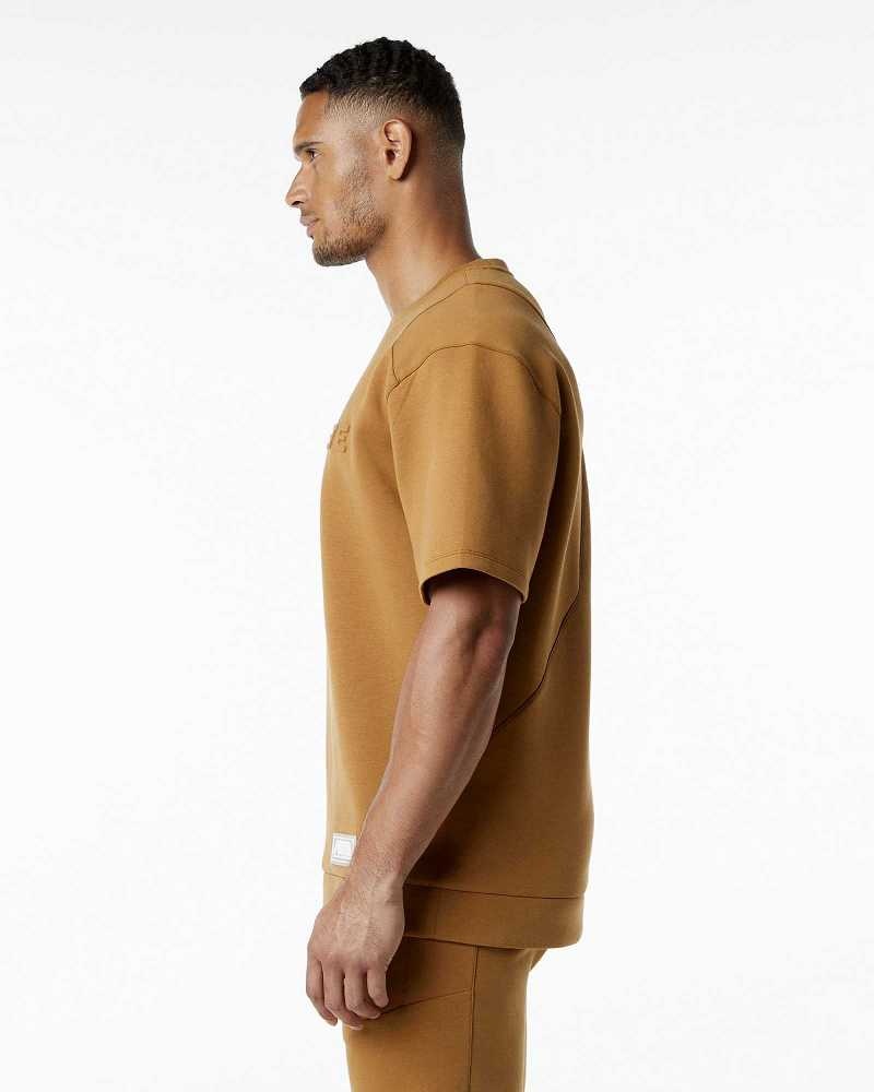 Pánské Pulovr Alphalete ELMTS Half Sleeve Hnědé | CZ-513478