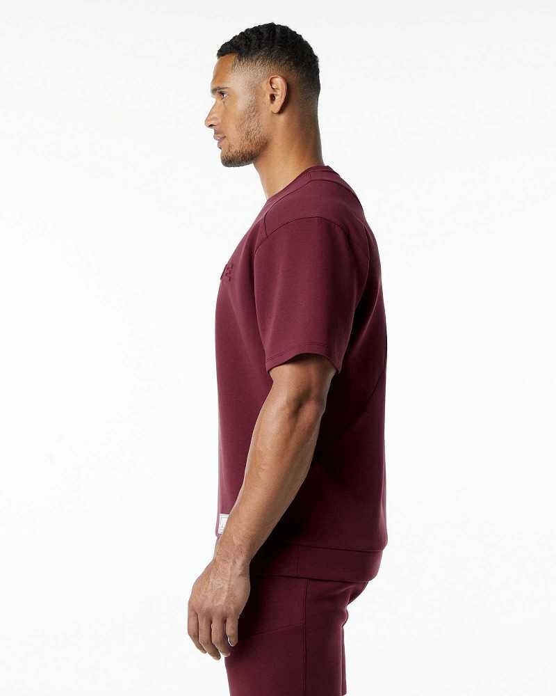 Pánské Pulovr Alphalete ELMTS Half Sleeve Červené | CZ-106428