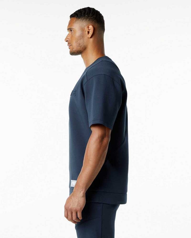 Pánské Pulovr Alphalete ELMTS Half Sleeve Blankyt | CZ-640157