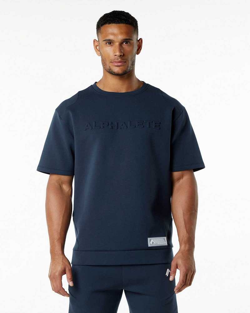 Pánské Pulovr Alphalete ELMTS Half Sleeve Blankyt | CZ-640157