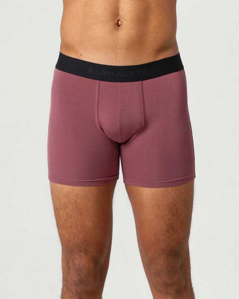 Pánské Spodní Prádlo Alphalete Classic Boxerské Brief 3pk Hnědé | CZ-764531