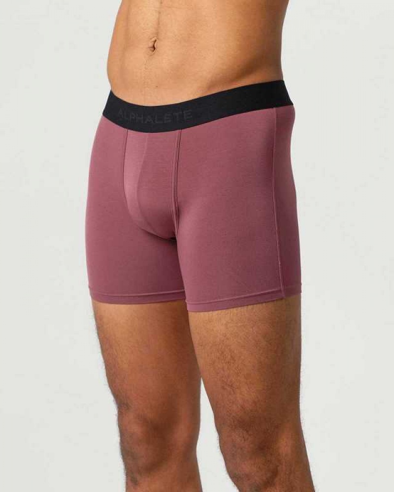 Pánské Spodní Prádlo Alphalete Classic Boxerské Brief 3pk Hnědé | CZ-764531