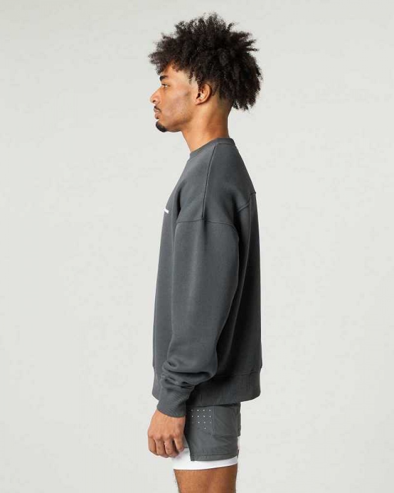 Pánské Svetr Alphalete Classic Crew Šedé | CZ-196285