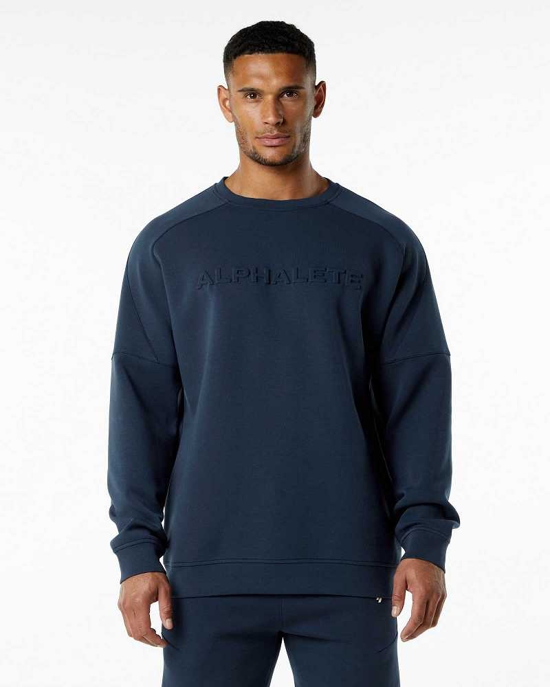 Pánské Svetr Alphalete ELMTS Crewneck Blankyt | CZ-936728