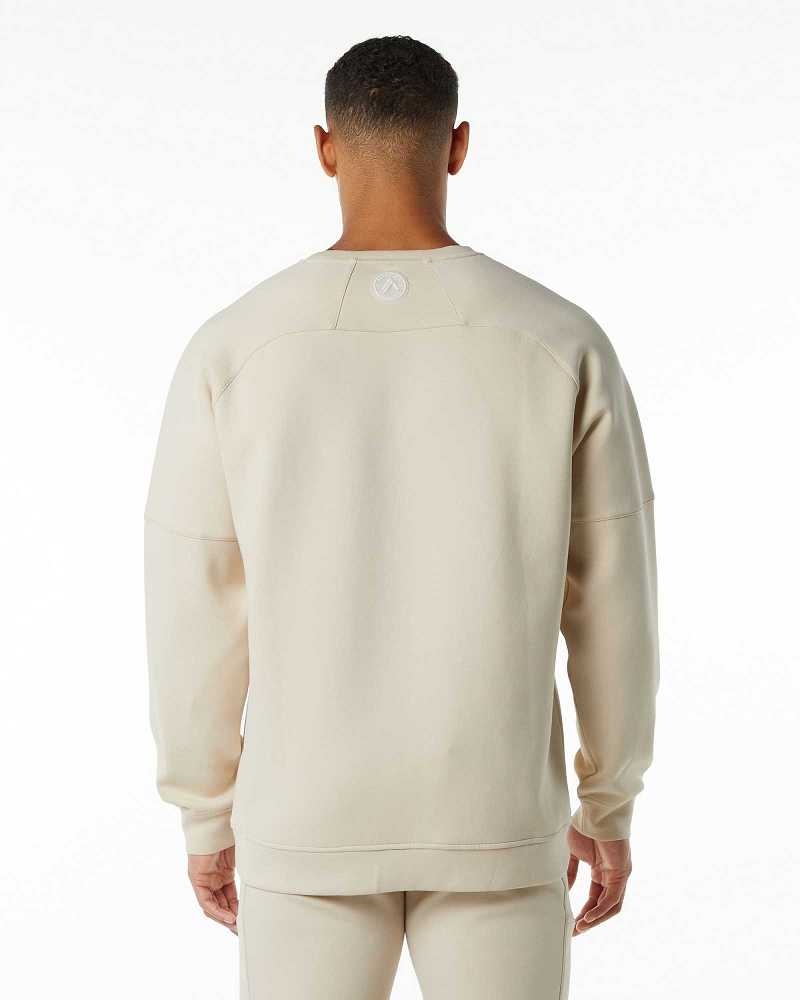 Pánské Svetr Alphalete ELMTS Crewneck Hnědé | CZ-197520