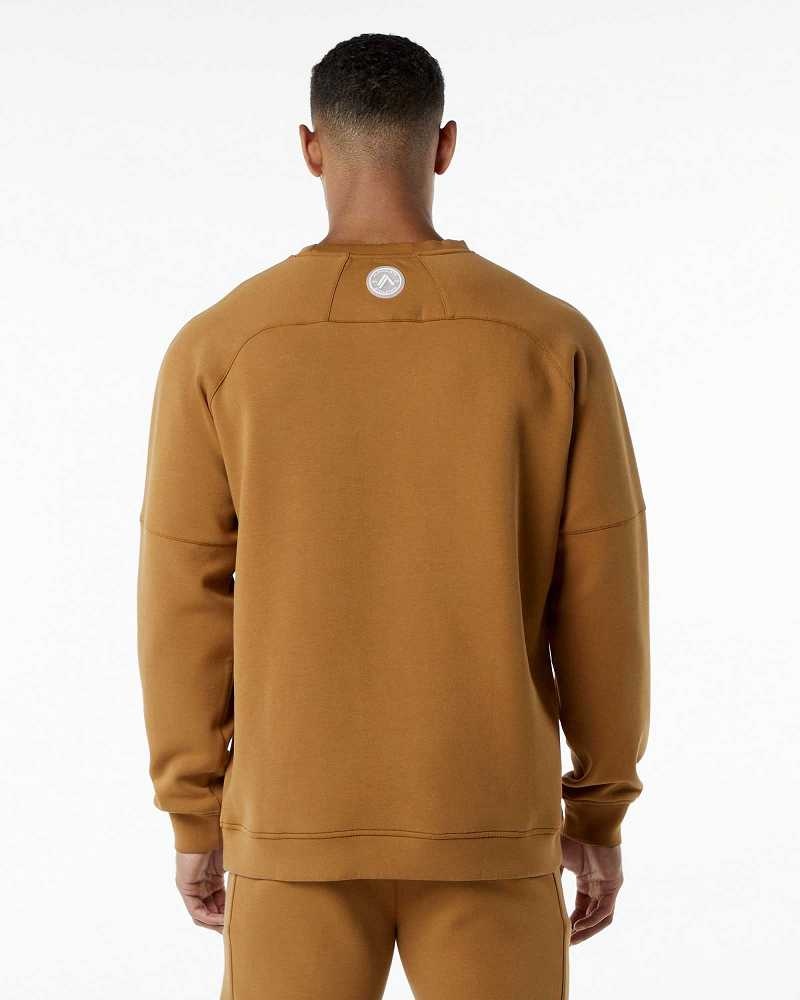 Pánské Svetr Alphalete ELMTS Crewneck Hnědé | CZ-617425