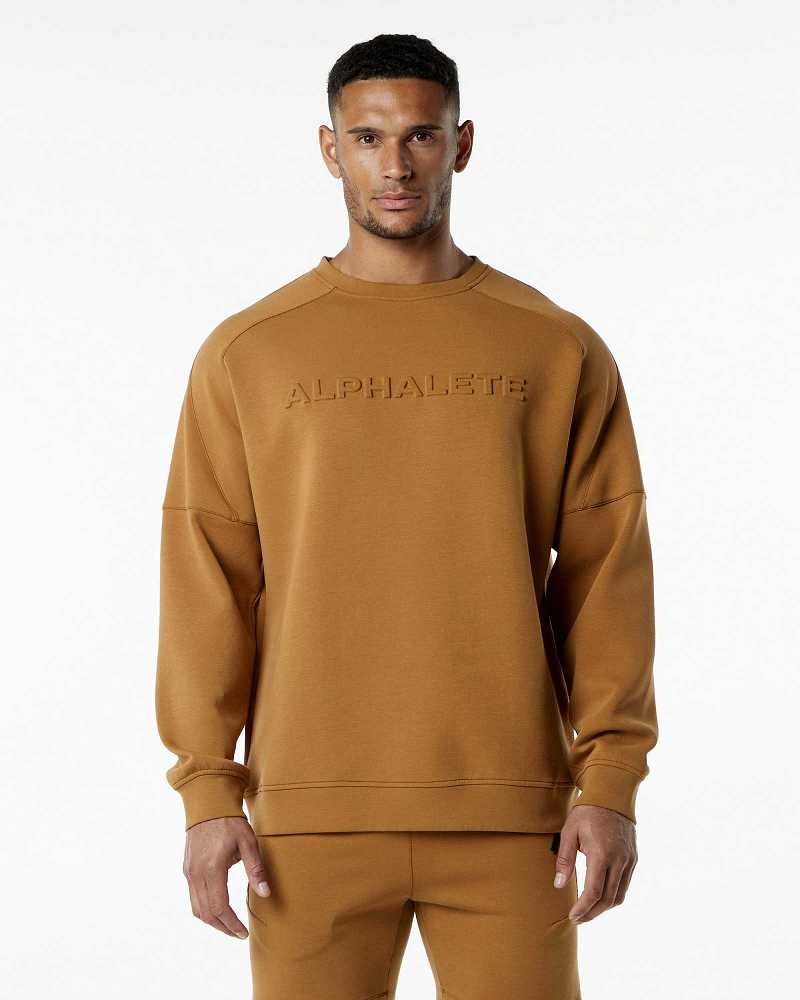Pánské Svetr Alphalete ELMTS Crewneck Hnědé | CZ-617425