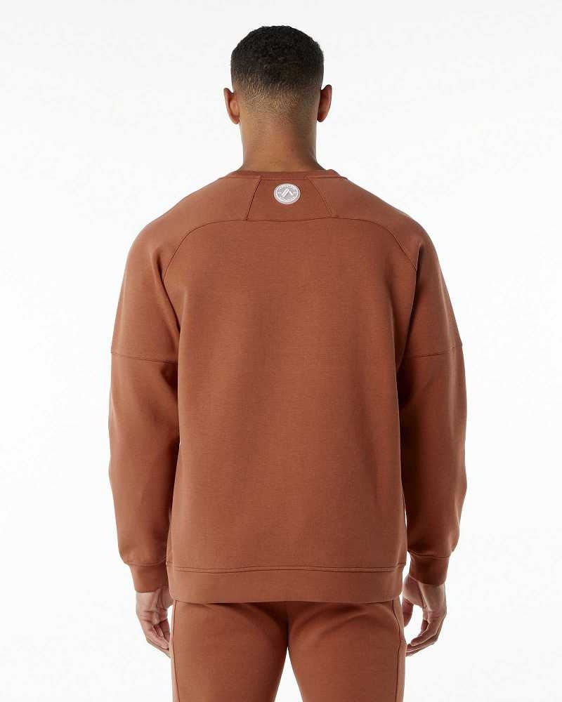 Pánské Svetr Alphalete ELMTS Crewneck Hnědé | CZ-624758