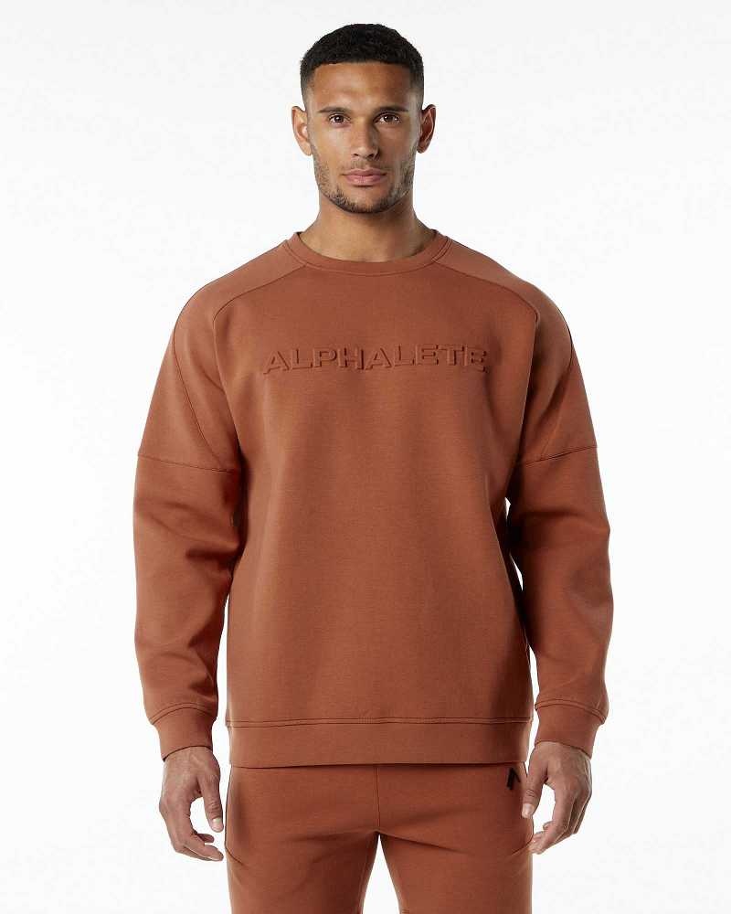 Pánské Svetr Alphalete ELMTS Crewneck Hnědé | CZ-624758