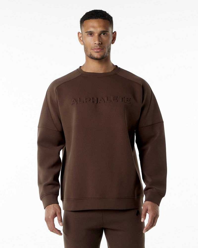Pánské Svetr Alphalete ELMTS Crewneck Hnědé | CZ-017438