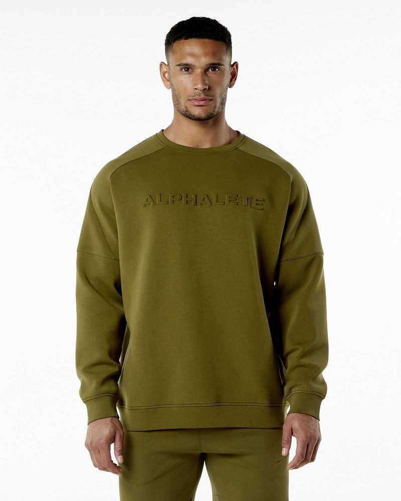 Pánské Svetr Alphalete ELMTS Crewneck Zelene | CZ-894706