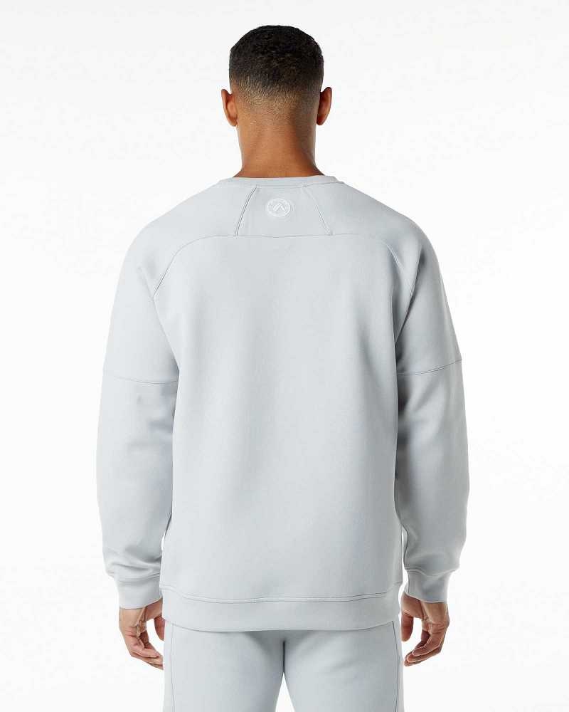 Pánské Svetr Alphalete ELMTS Crewneck Šedé | CZ-721354