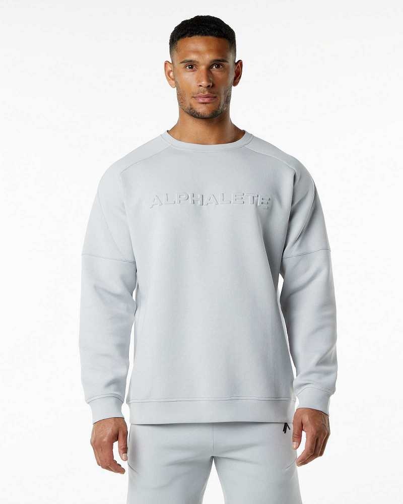 Pánské Svetr Alphalete ELMTS Crewneck Šedé | CZ-721354