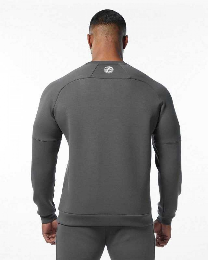 Pánské Svetr Alphalete ELMTS Crewneck Šedé | CZ-843192