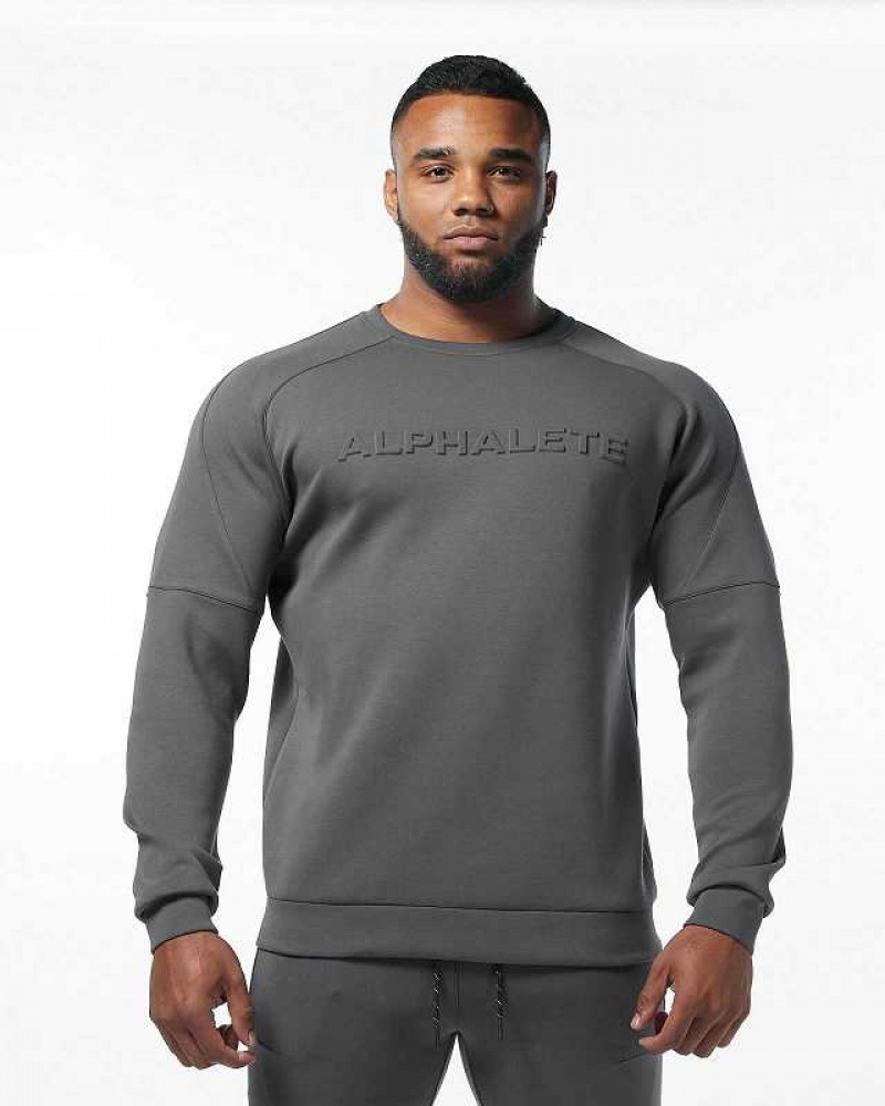 Pánské Svetr Alphalete ELMTS Crewneck Šedé | CZ-843192