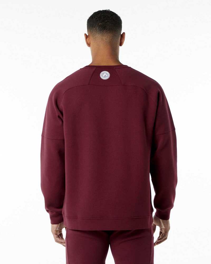 Pánské Svetr Alphalete ELMTS Crewneck Červené | CZ-736105